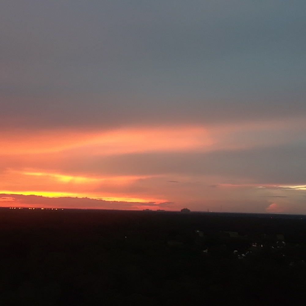 Meet your Posher, Polina